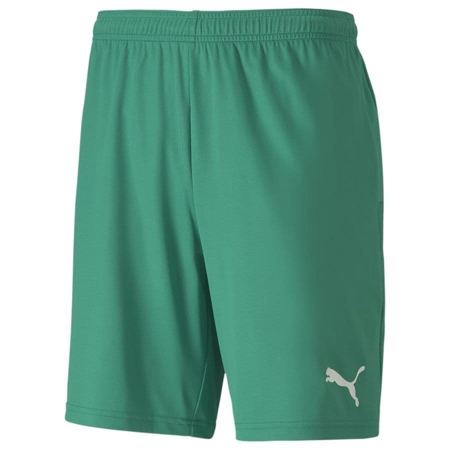 Puma Voetbalshorts Teamgoal 23