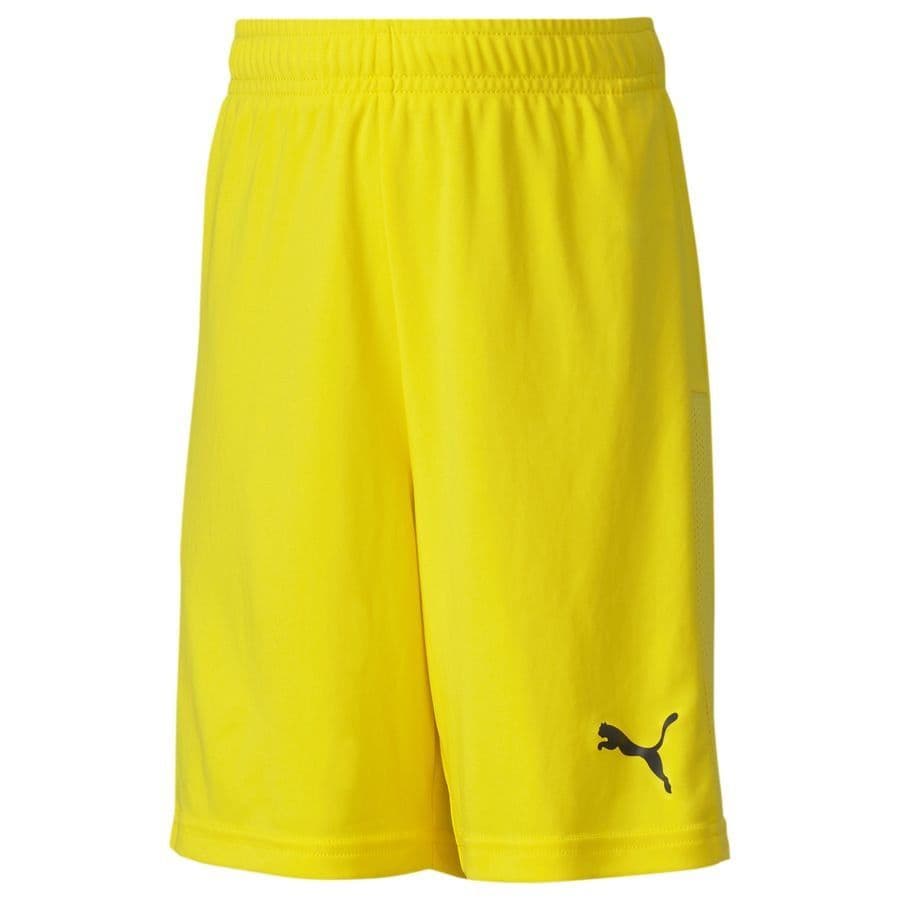 Puma Voetbalshorts Teamgoal 23 Kids