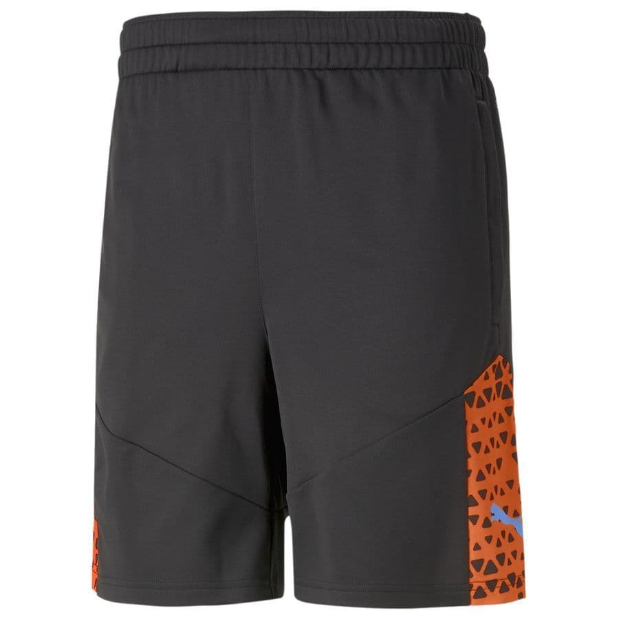 Puma Trainingsshorts Individualcup