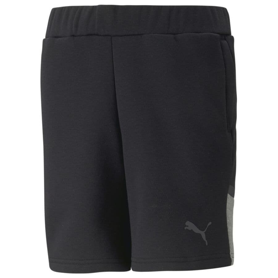 Puma Shorts Teamcup Casuals Kids