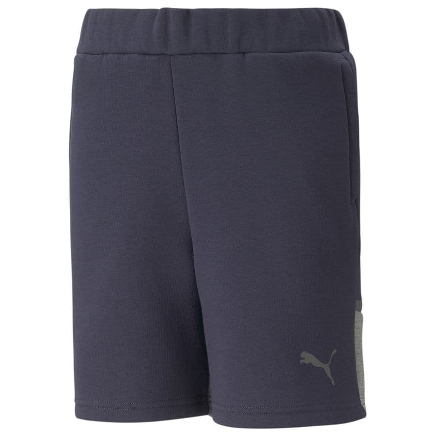Puma Shorts Teamcup Casuals Kids