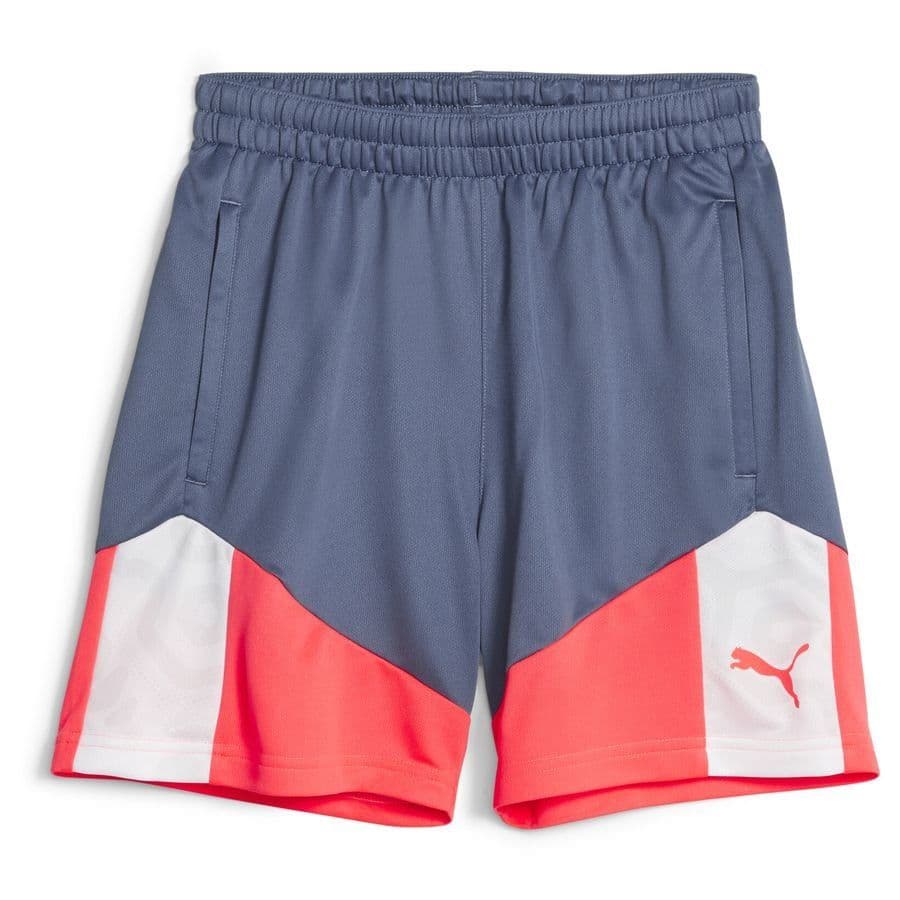 Puma Trainingsshorts Individualcup Kids