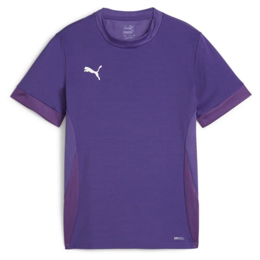 Puma teamGOAL Trainingsshirt Kids
