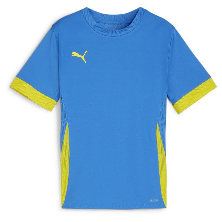 Puma teamGOAL Trainingsshirt Kids