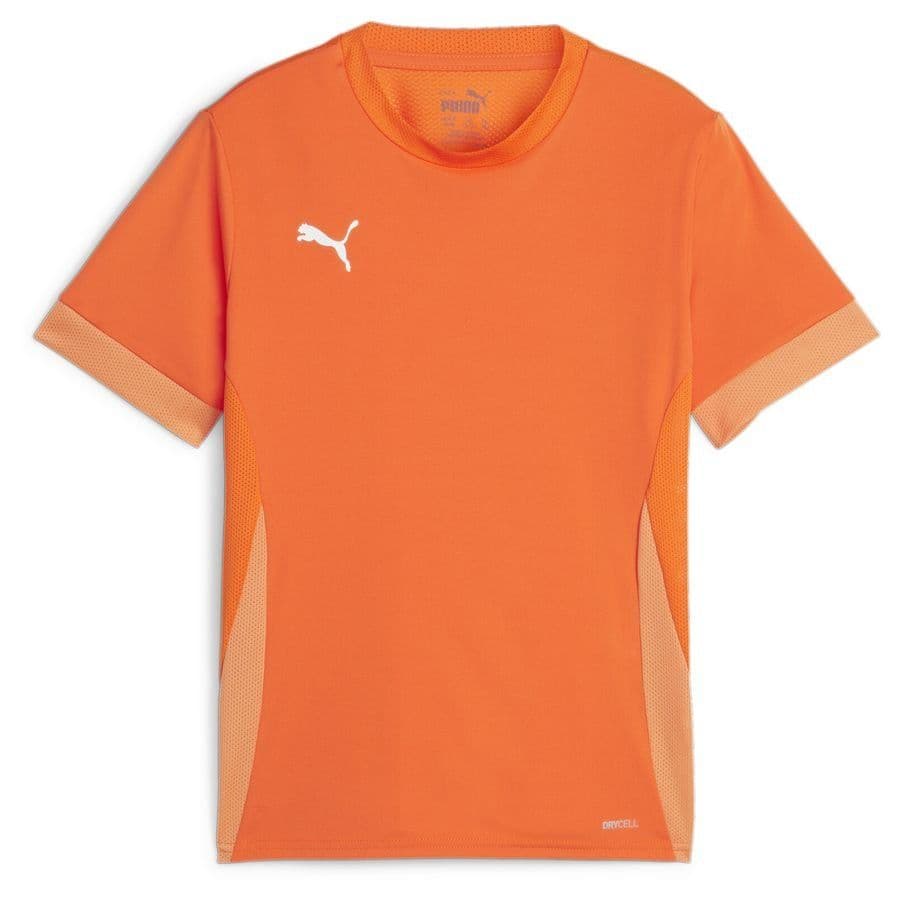 Puma teamGOAL Trainingsshirt Kids
