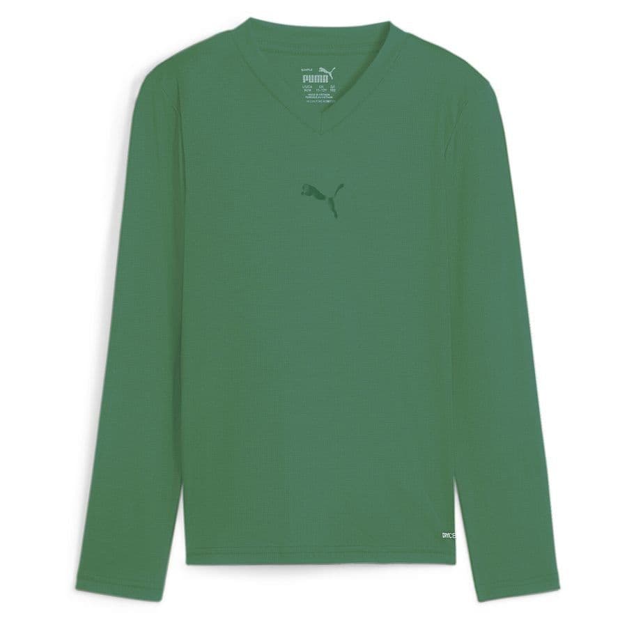 Puma Teamgoal Baselayer Tee Ls Jr. Sport Green-power