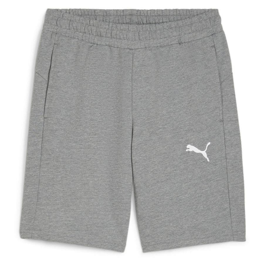 Puma Shorts Teamgoal Casuals