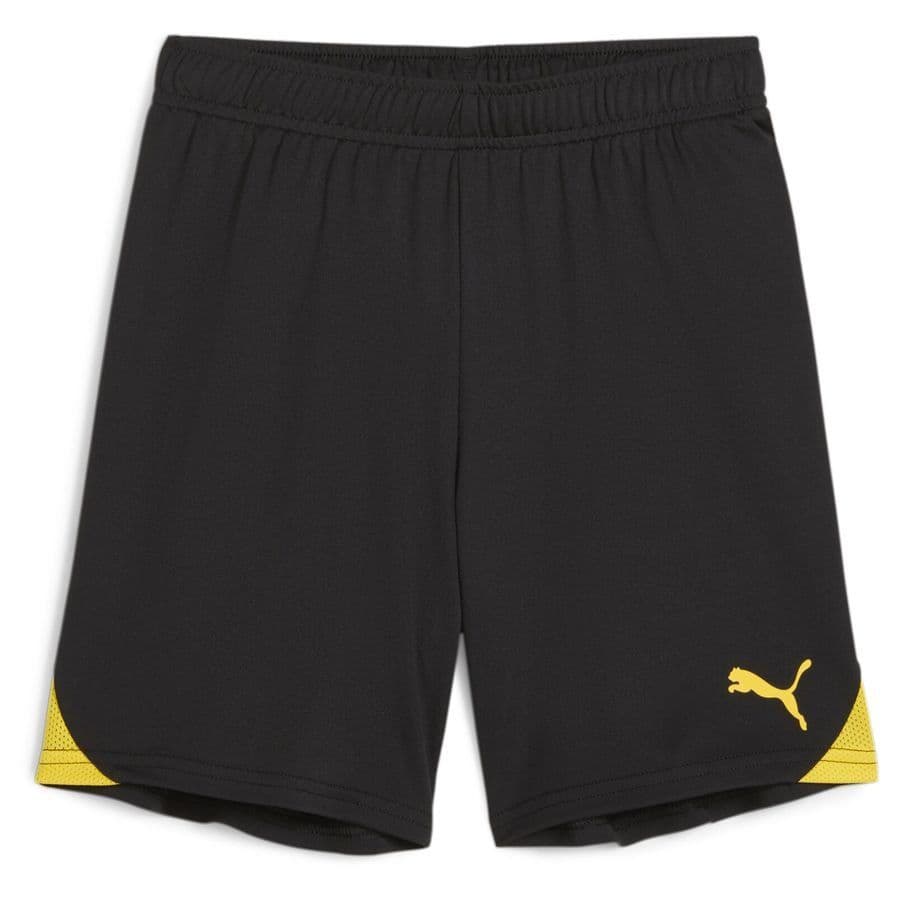 Puma Voetbalshorts Teamgoal Kids