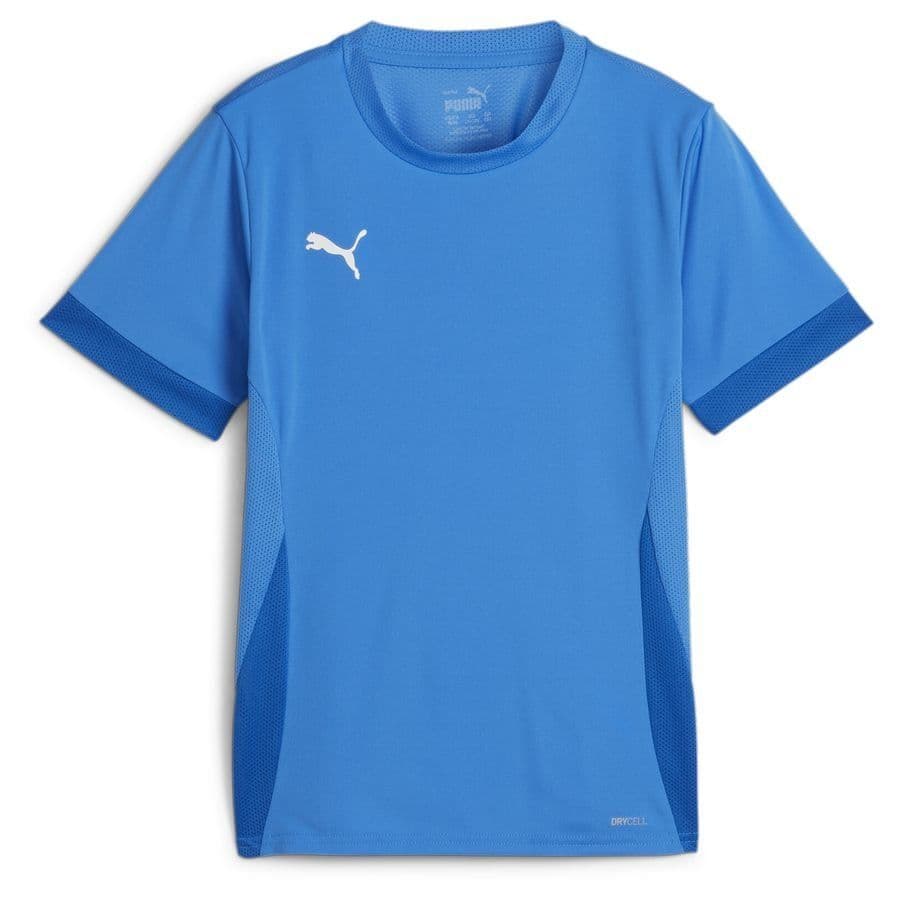 Puma teamGOAL Trainingsshirt Kids