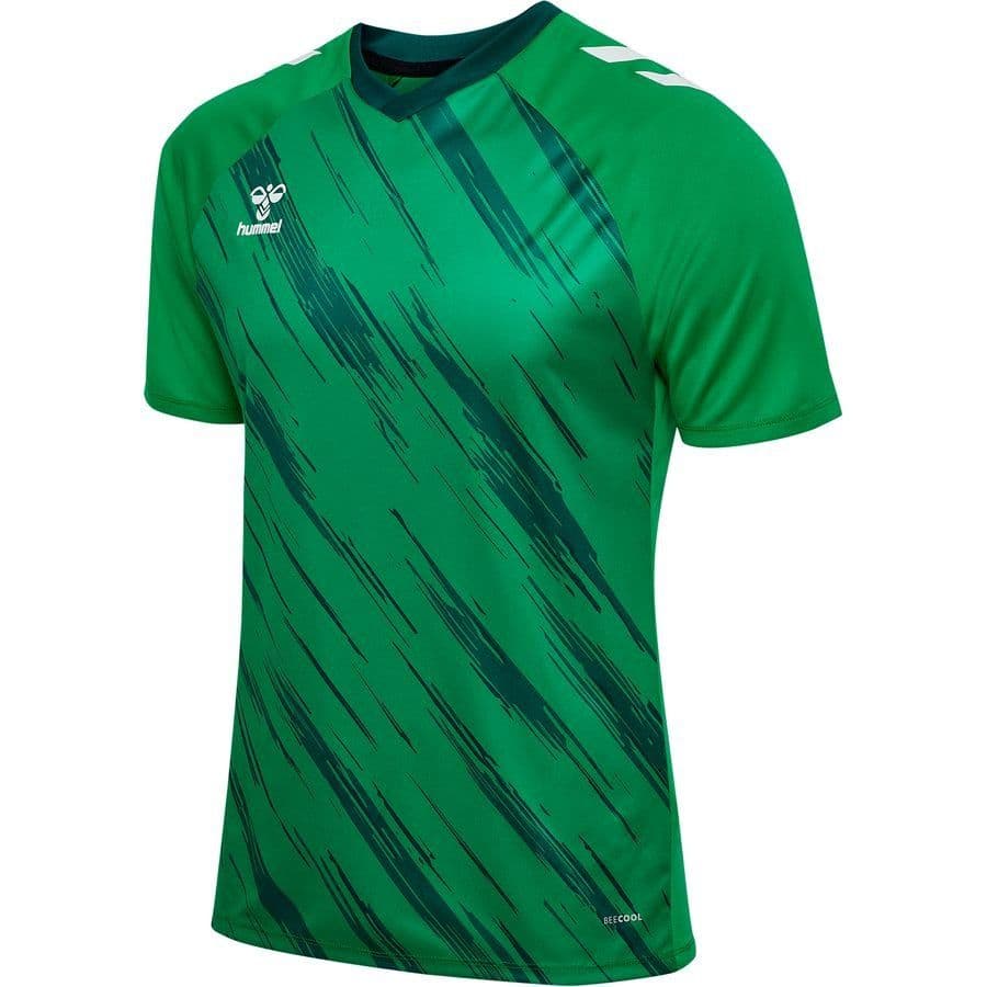 hummel Voetbalshirt Match Triumph Kids