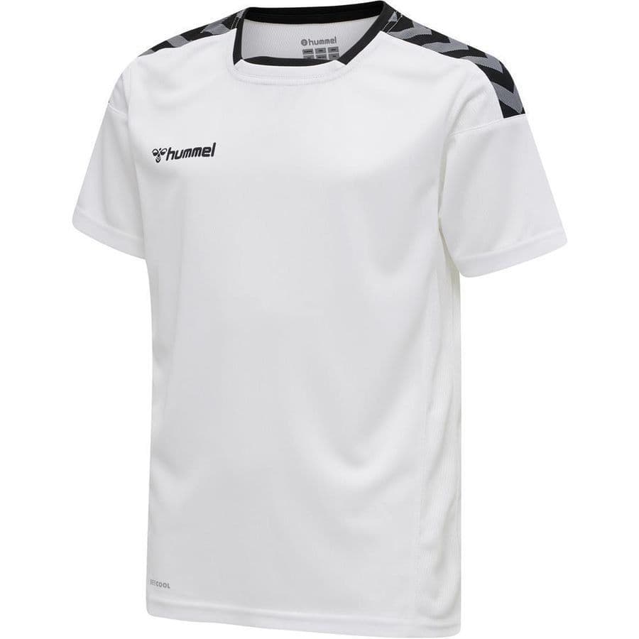 hummel Voetbalshirt Authentic Poly Kids