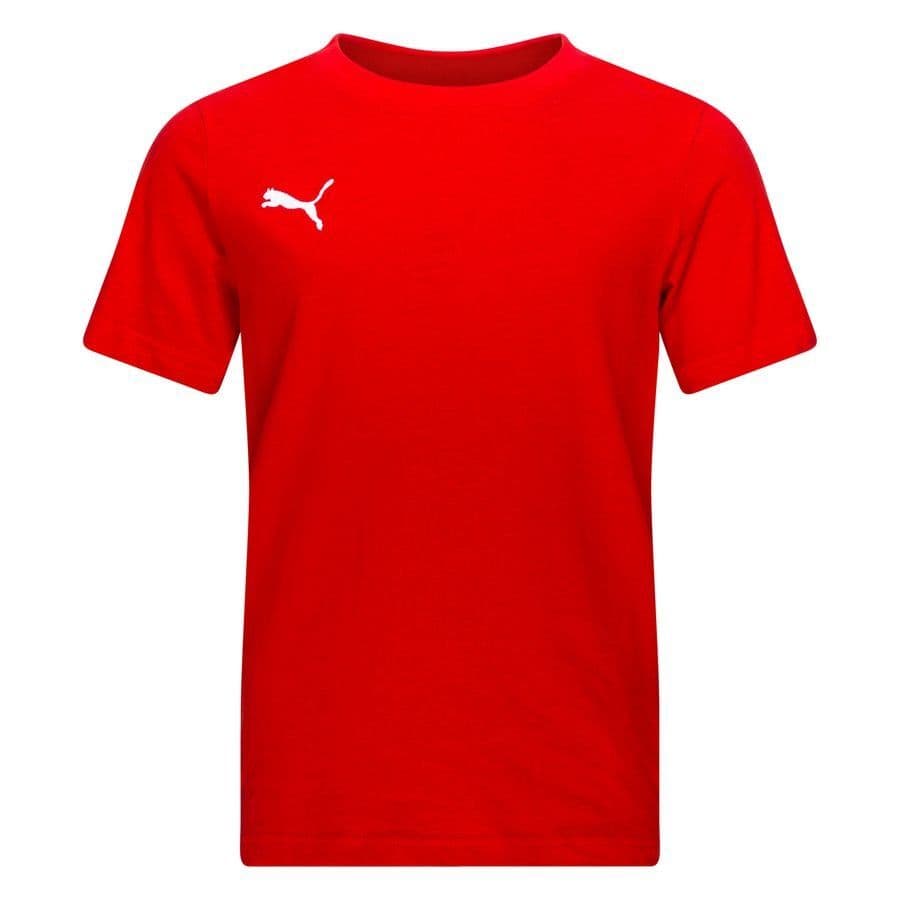Puma T-shirt Teamgoal 23 Casuals Kids
