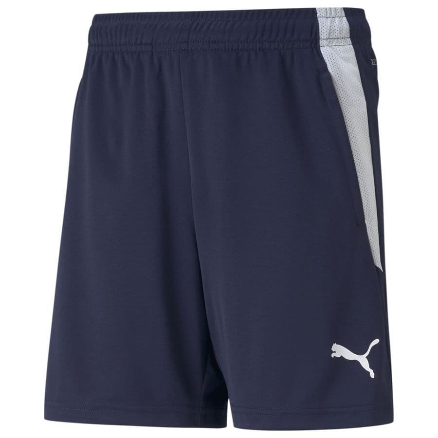 Puma Teamliga Training Shorts Jr Peacoat-PUMA