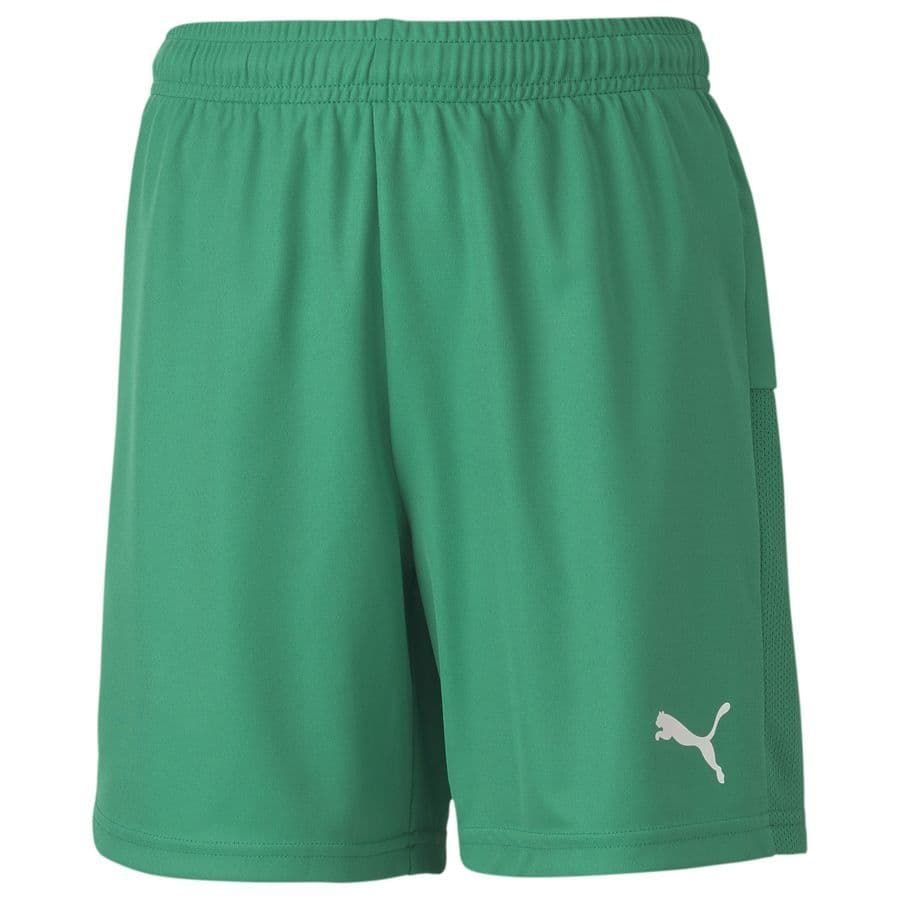 Puma Voetbalshorts Teamgoal 23 Kids