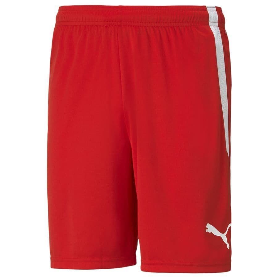 Puma Shorts Teamliga