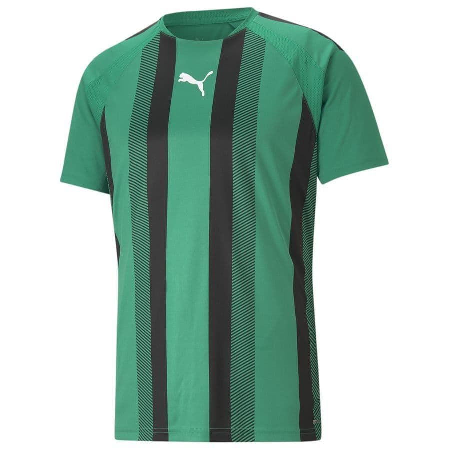 Puma Voetbalshirt Teamliga