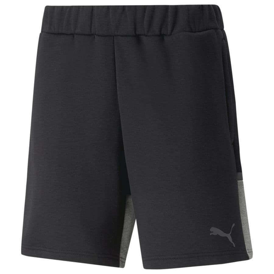 Puma Shorts Teamcup Casuals