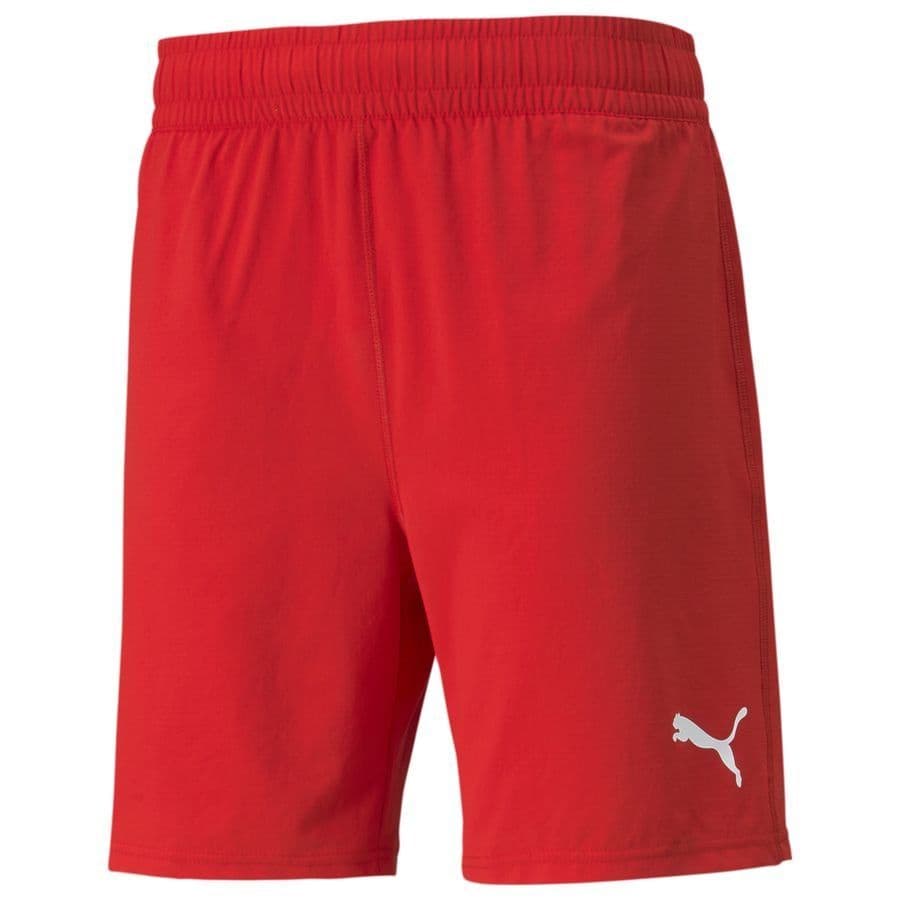 Puma Shorts Teamfinal