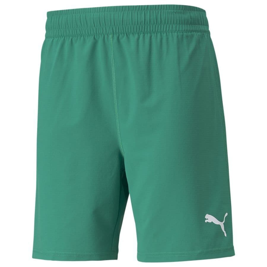 Puma Shorts Teamfinal