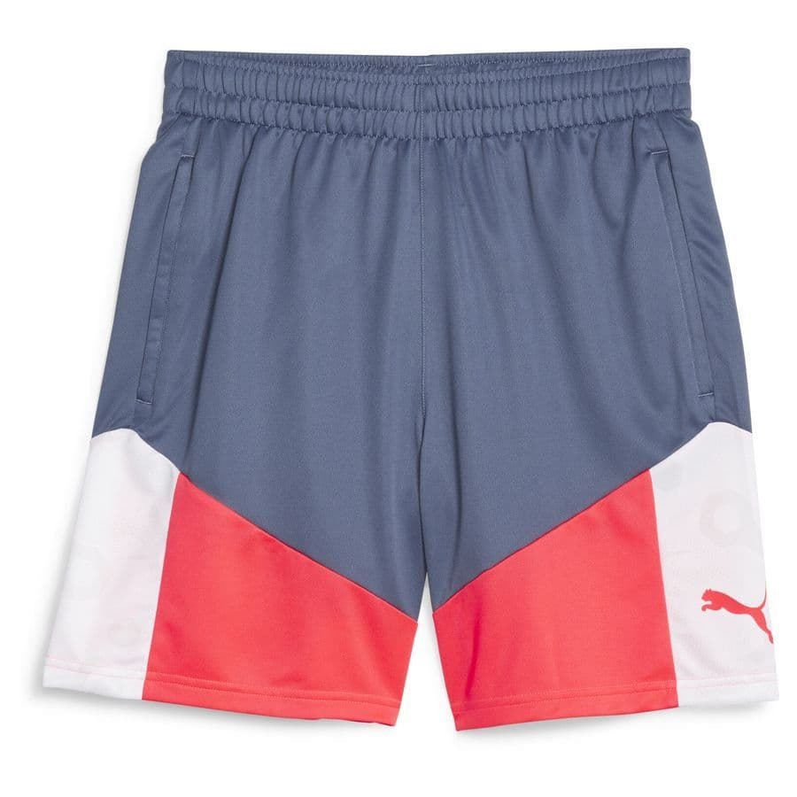 Puma Trainingsshorts Individualcup
