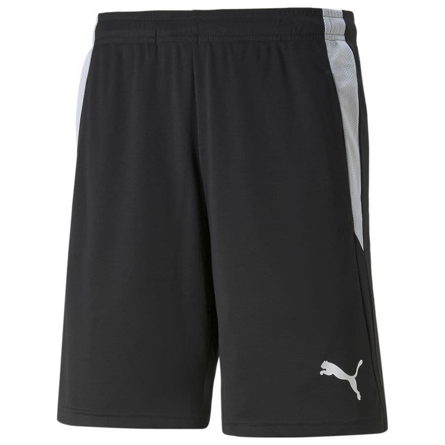Puma Shorts Teamliga