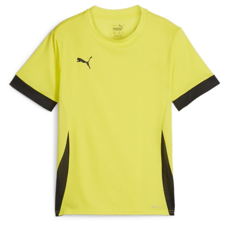 Puma teamGOAL Trainingsshirt Kids