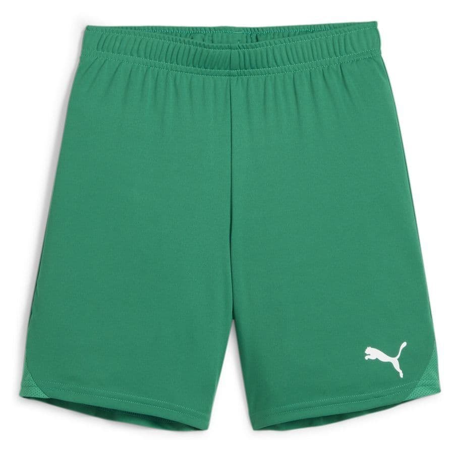Puma Voetbalshorts Teamgoal Kids