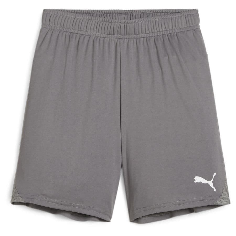 Puma Voetbalshorts Teamgoal Kids