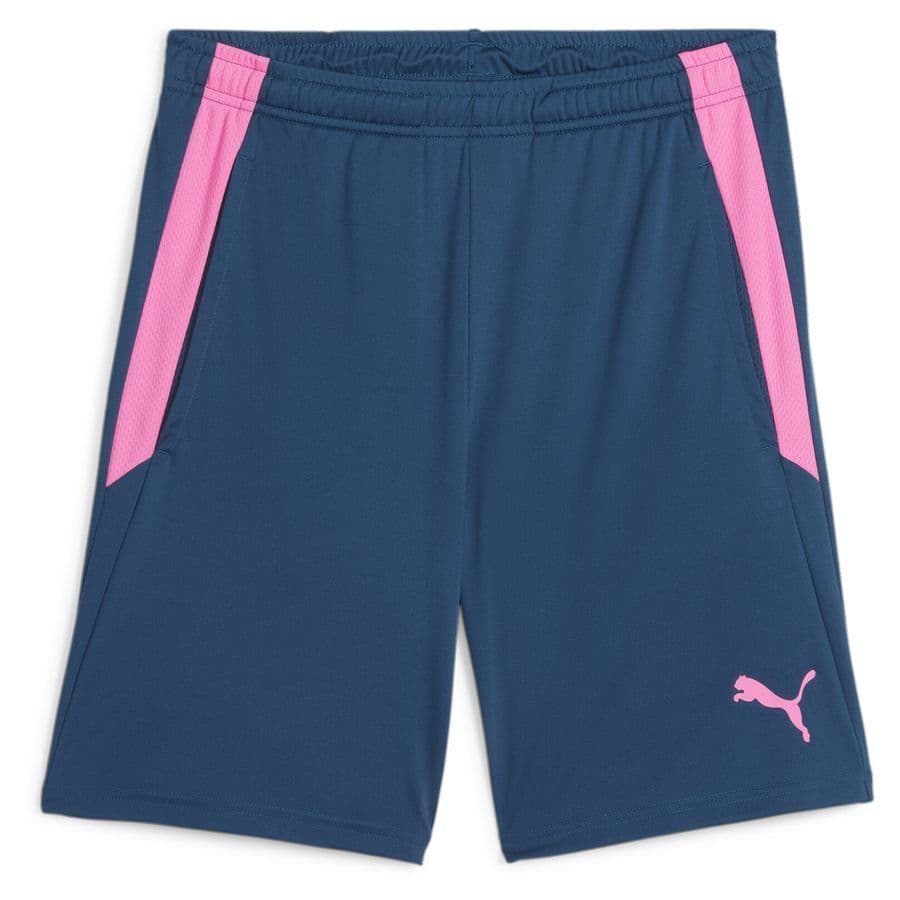 Puma Trainingsshorts Teamliga 2