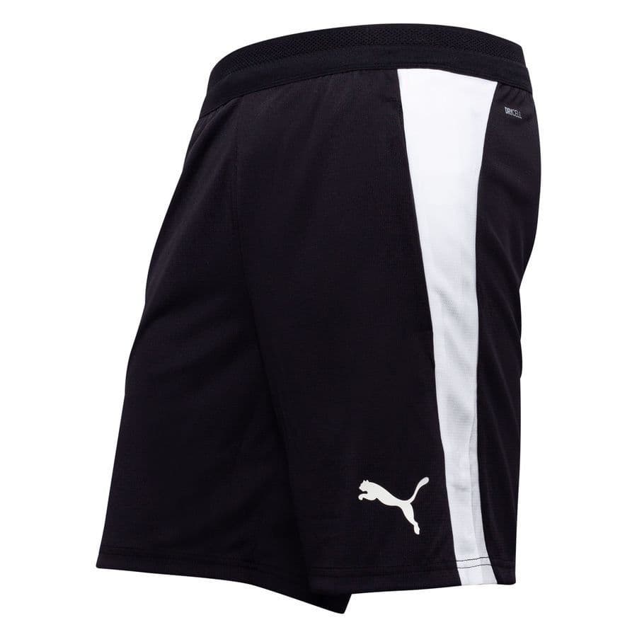 Puma Trainingsshorts Teamfinal 26