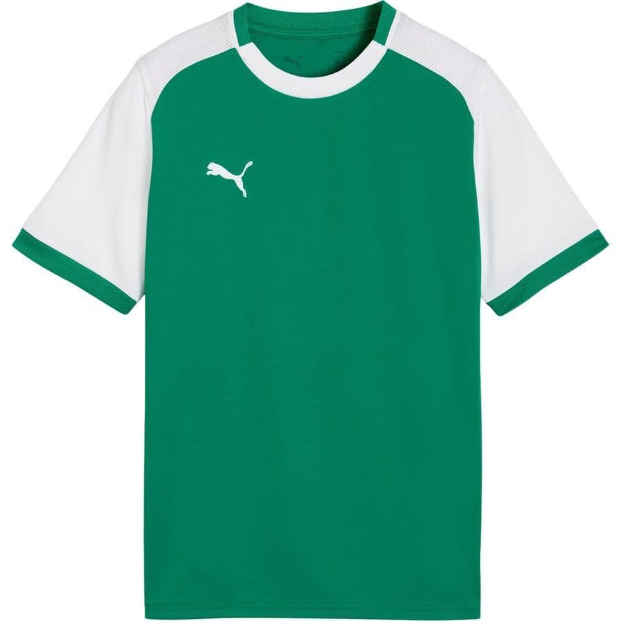 Puma Voetbalshirt Teamliga26 Matchday Kids