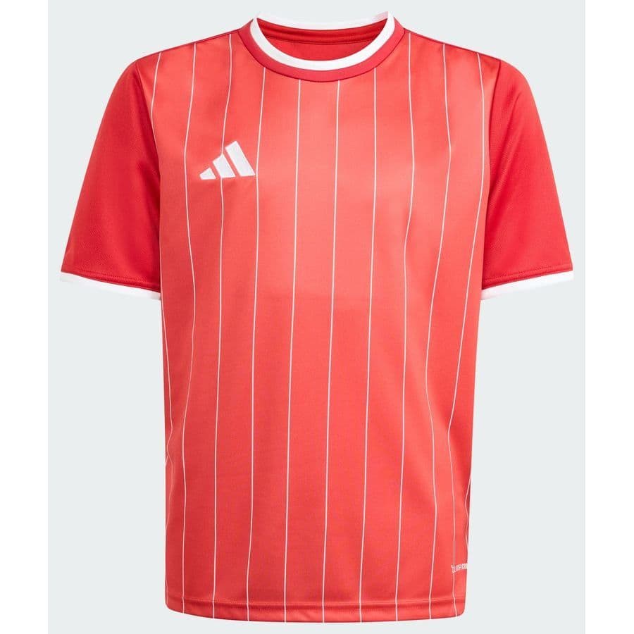 adidas Entrada 26 Graphic Shirt Kids