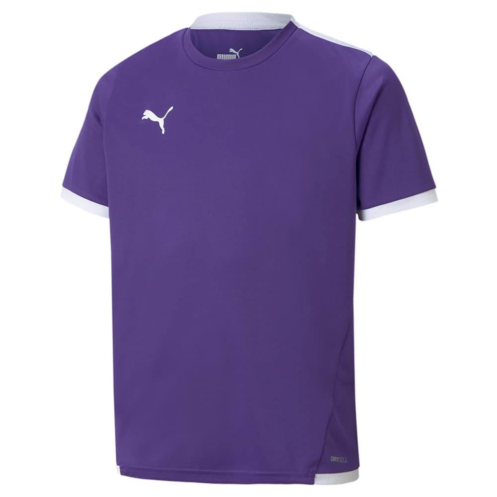 Puma teamLIGA Voetbalshirt Kids