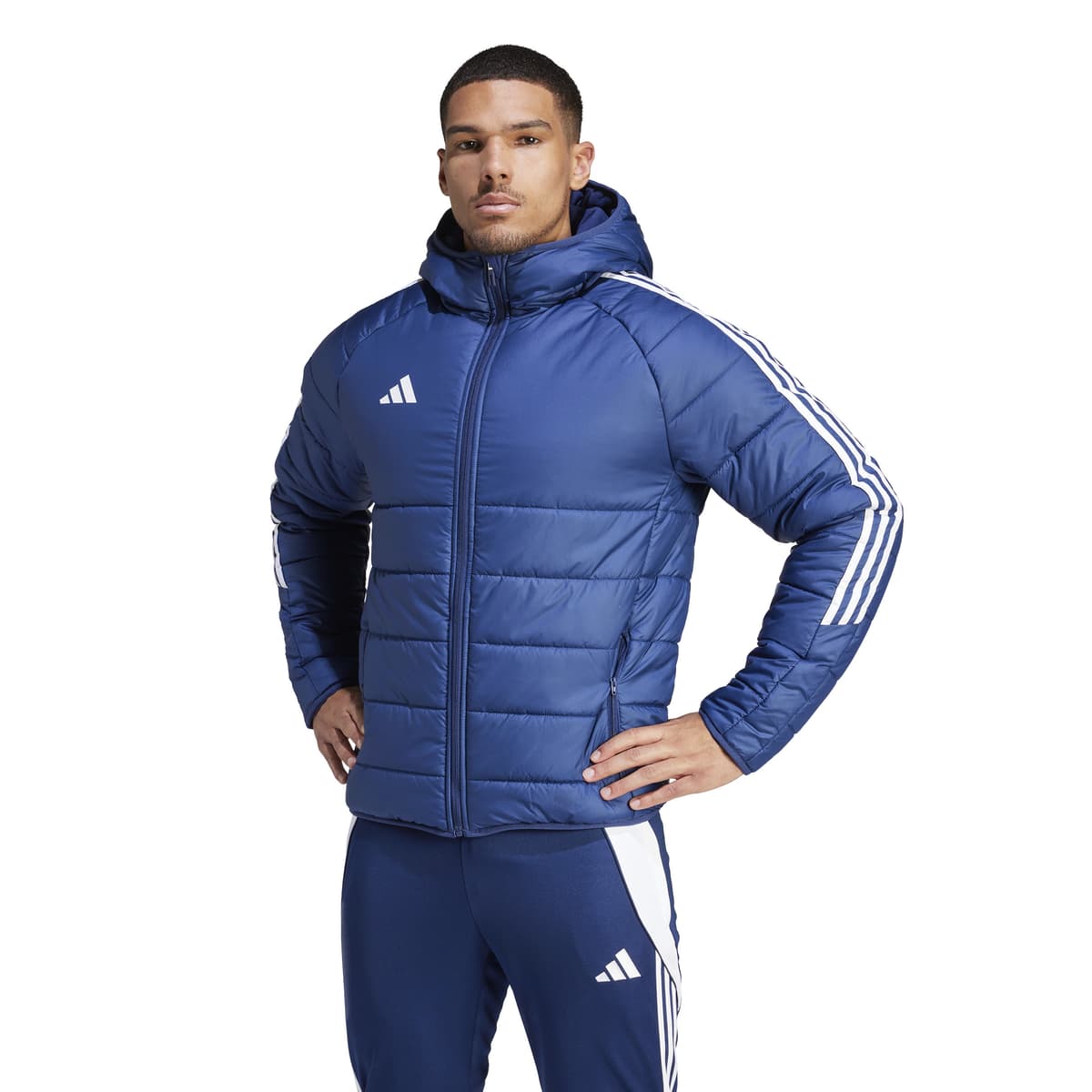 adidas Tiro 24 Winterjas